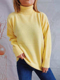 Turtleneck Long Sleeve Sweater - Trendsi - Flyclothing LLC