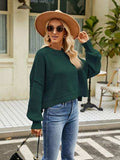 Round Neck Lantern Sleeve Sweater - Trendsi - Flyclothing LLC