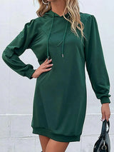 Drawstring Puff Sleeve Hooded Dress - Trendsi - Flyclothing LLC