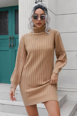Ribbed Turtle Neck Long Sleeve Mini Sweater Dress - Trendsi