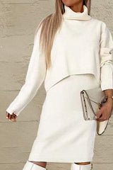 Turtleneck Dropped Shoulder Sweater and Midi Dress Sweater Set - Trendsi - Flyclothing LLC