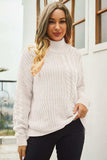 Cable-Knit Turtle Neck Long Sleeve Sweater - Trendsi - Flyclothing LLC
