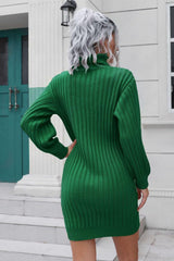 Ribbed Turtle Neck Long Sleeve Mini Sweater Dress - Trendsi