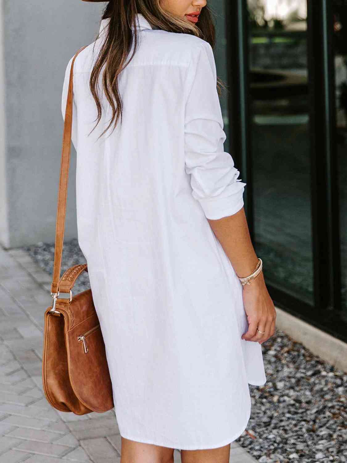 Button Up Collared Neck Long Sleeve Shirt Dress - Trendsi - Flyclothing LLC