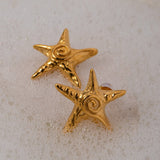 Stainless Steel Star Shape Earrings - Trendsi