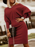 Round Neck Lantern Sleeve Dress - Trendsi