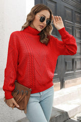 Cable-Knit Turtleneck Sweater - Trendsi