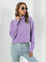 Turtleneck Dropped Shoulder Sweater - Trendsi - Flyclothing LLC