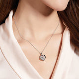Moissanite 925 Sterling Silver Heart Necklace - Trendsi - Flyclothing LLC