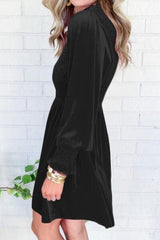 Smocked Round Neck Long Sleeve Dress - Trendsi