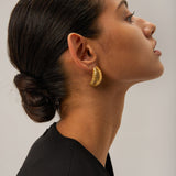 18K Gold-Plated Stainless Steel Earrings - Trendsi