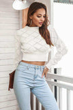 Openwork Plaid Round Neck Cropped Sweater - Trendsi - Flyclothing LLC