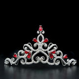Alamode Imitation Rhodium Brass Tiaras & Hair Clip with Top Grade Crystal in Ruby - Alamode