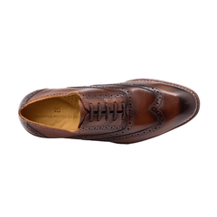 Sandro Moscoloni Mercer Brown Oxford Lace Up - Flyclothing LLC