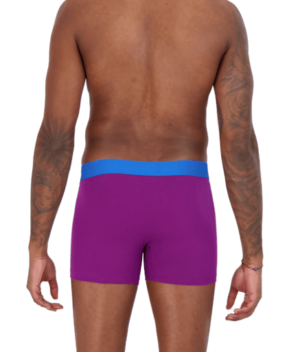 Wood Underwear grape men's boxer brief w-fly - Flyclothing LLC