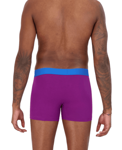 Wood Underwear grape men's boxer brief w-fly - Flyclothing LLC
