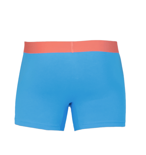 Wood Underwear malibu men's boxer brief w-fly - Flyclothing LLC