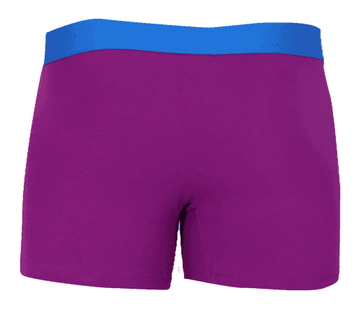 Wood Underwear grape men's boxer brief w-fly - Wood Underwear - Flyclothing LLC