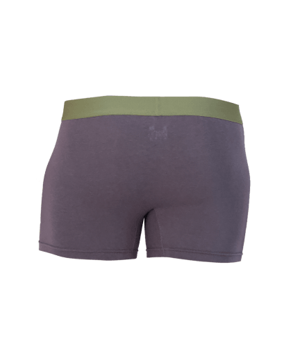 Wood Underwear iron mens boxer brief w-fly - Flyclothing LLC
