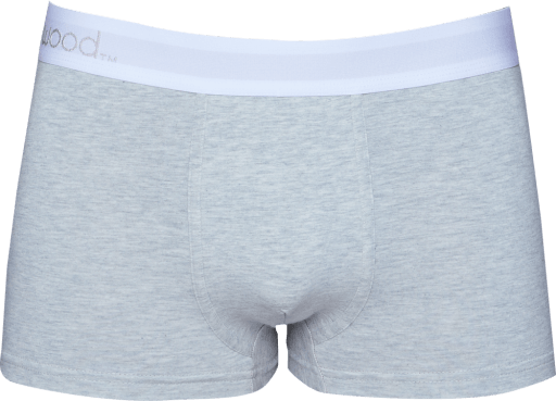 Wood Underwear heather grey men's trunk - Flyclothing LLC